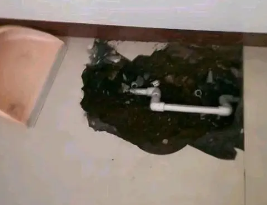 鼎城卫生间测漏水多少钱